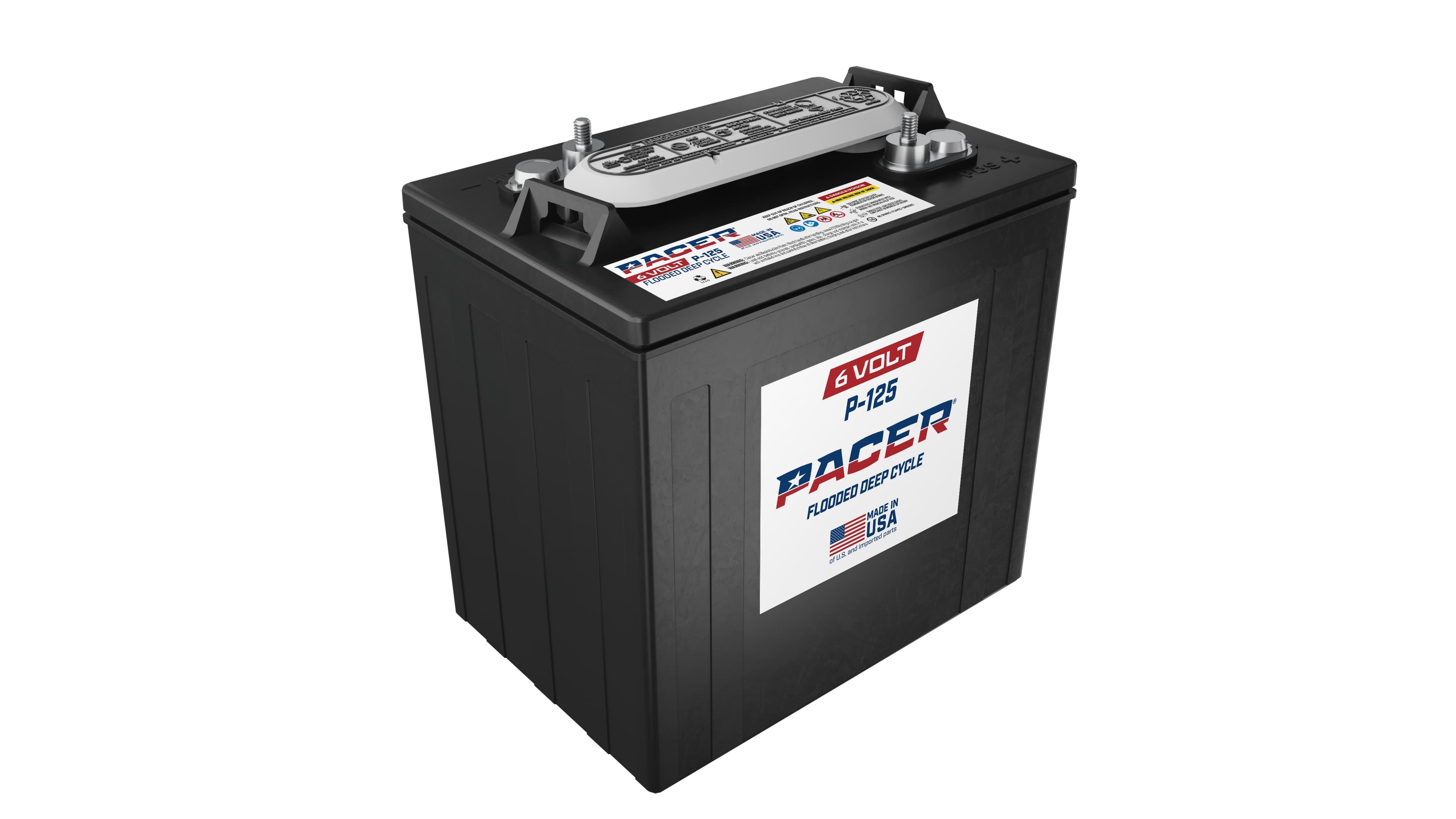 PACER BATTERI 6V 235AH LPT-GEVINDPOL