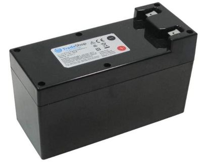 AUTOMOWER BATT. LI-ION 25,2V 9AH 226,80W