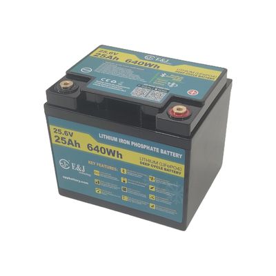 E&J LITHIUM 24V 25AH BT & HEAT